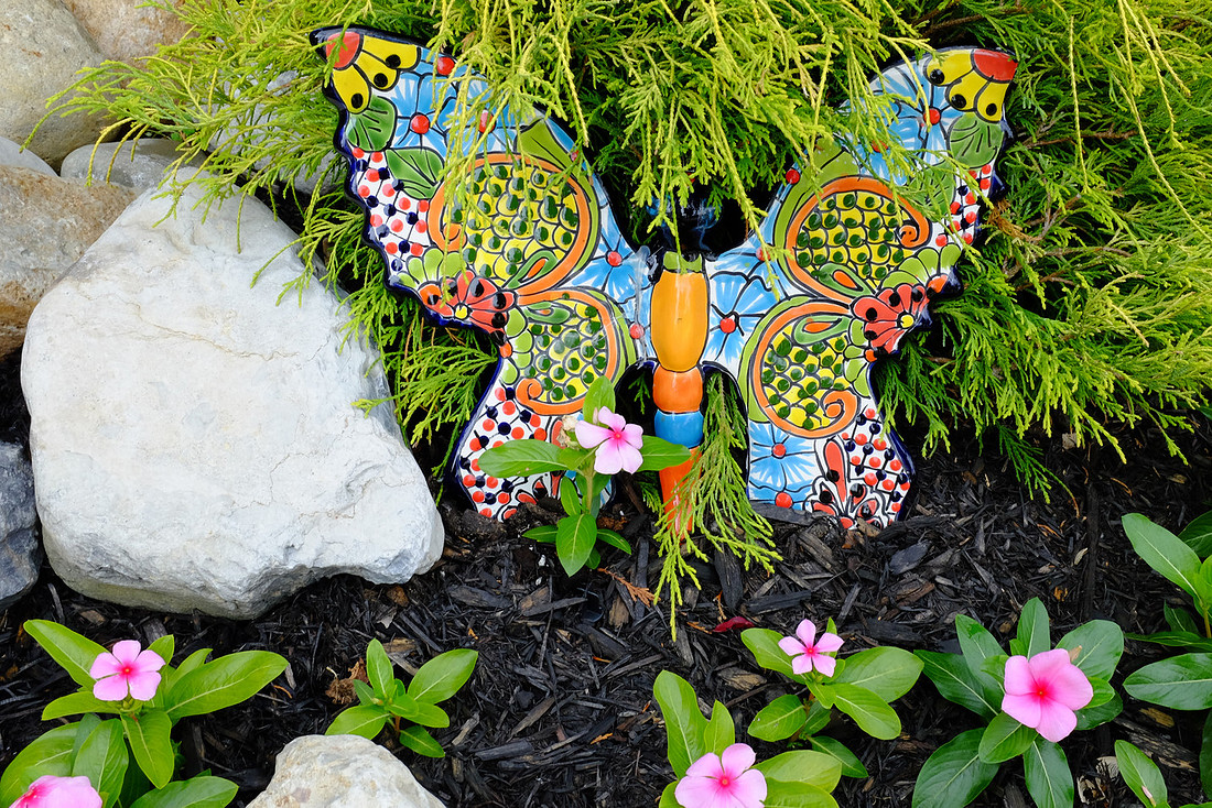 Butterfly and Rock