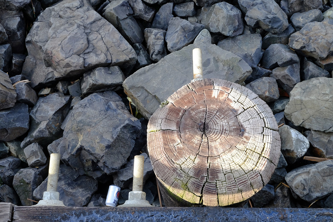 Rocks and Wood