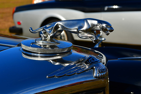 Leaper
