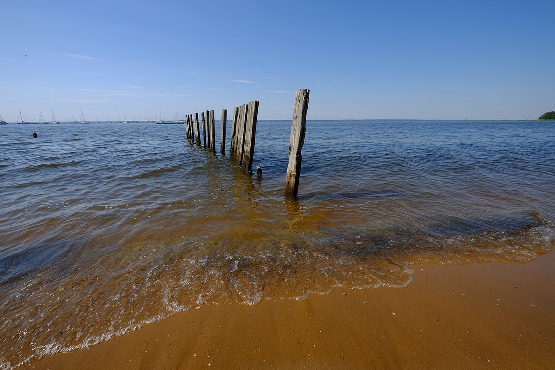 Wood and Water 2