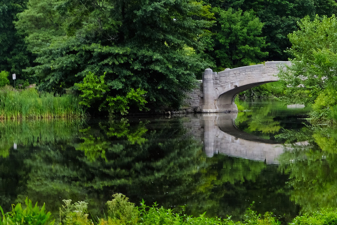 Looking Glass Bridge