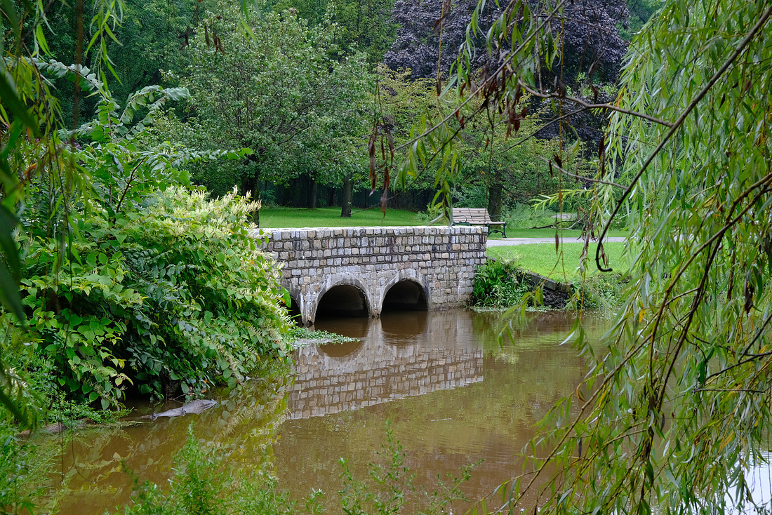 Bridge and Bench
