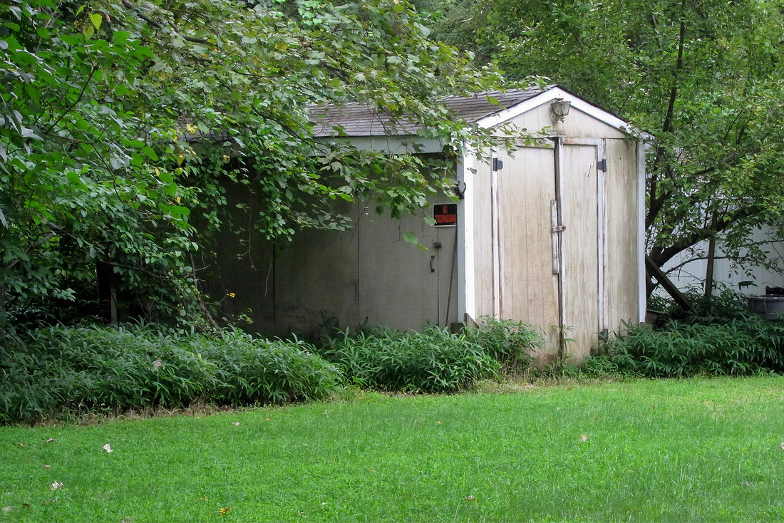 Shed