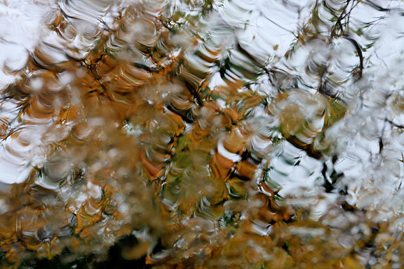 Wet Fall