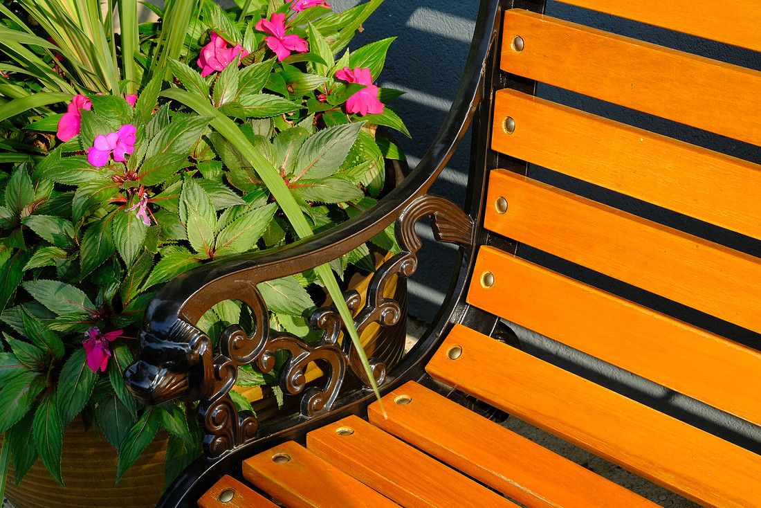 Sunny Bench