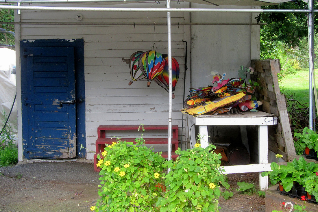 Blue Door