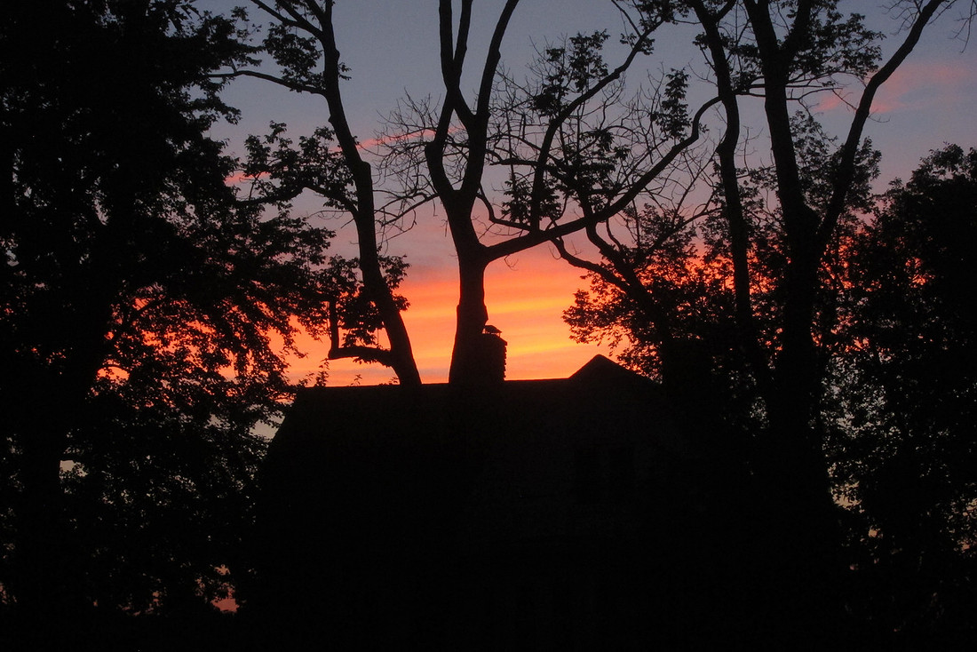 Sunset Concert