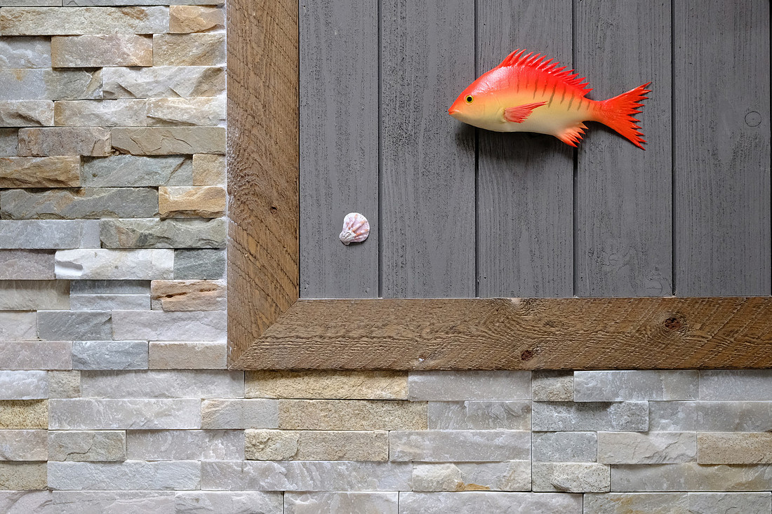 Framed Fish