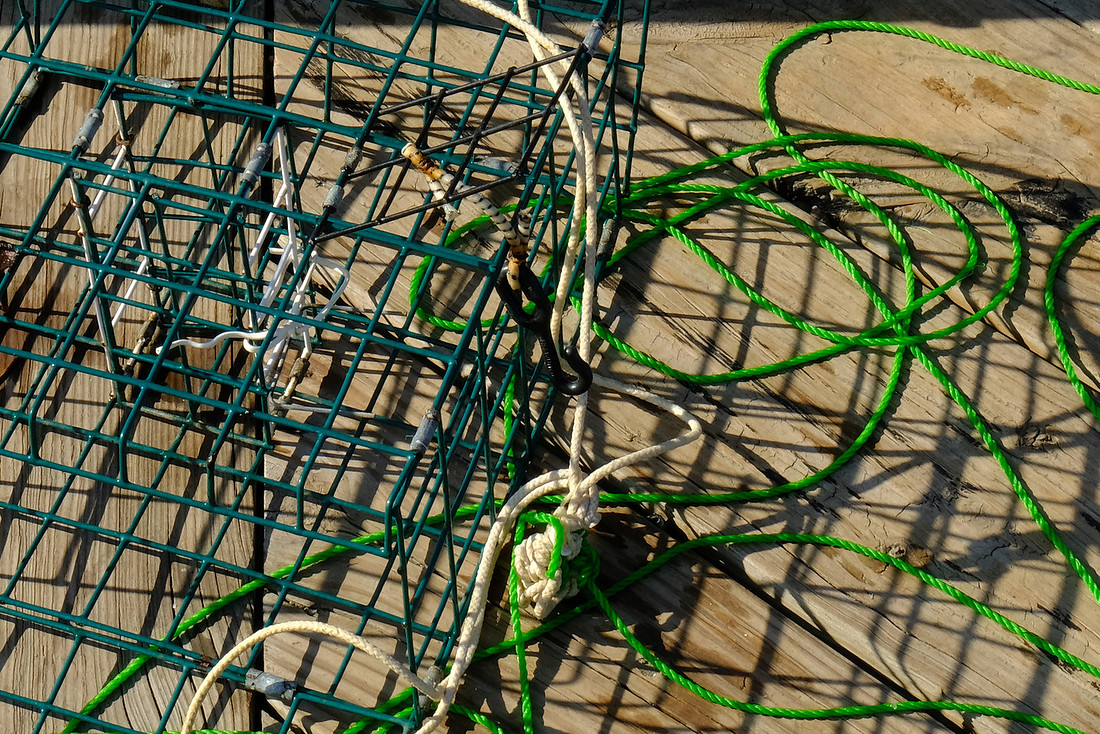 Tangle
