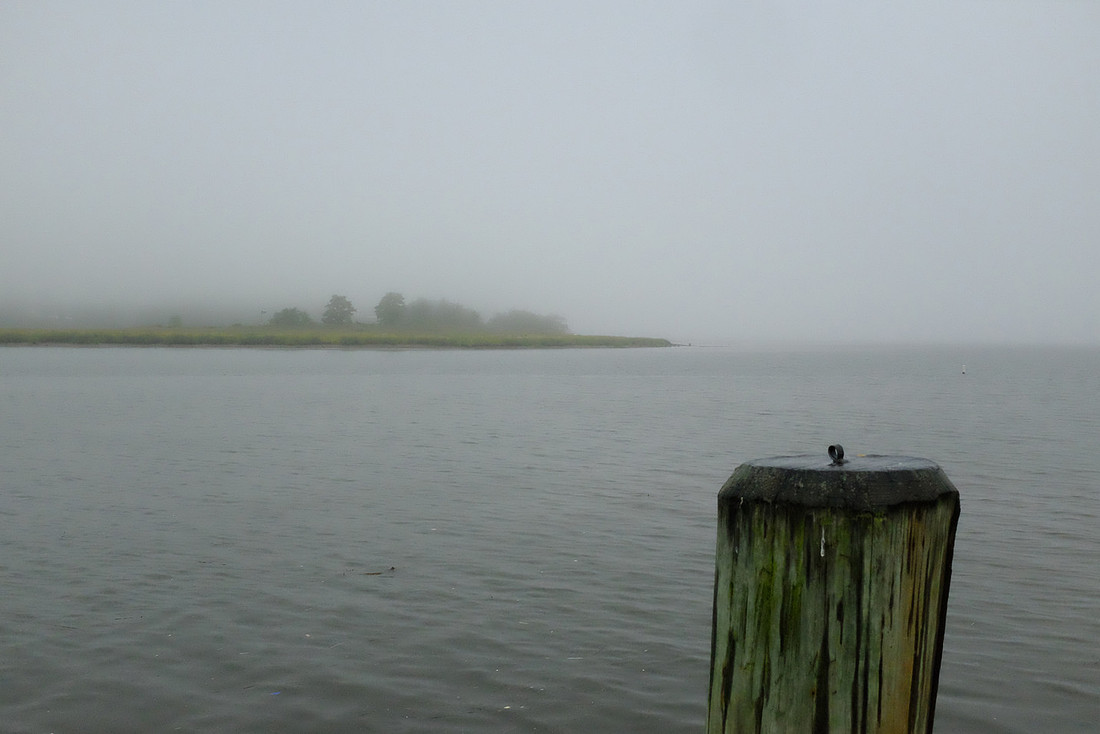 Foggy Point