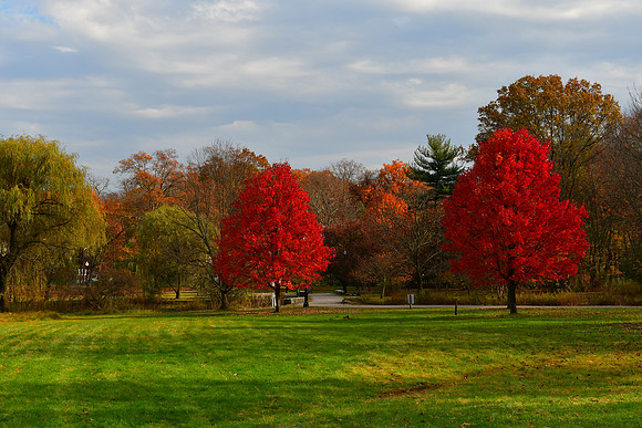 Two Red Trees