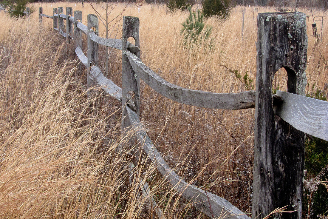 Fence in the Field