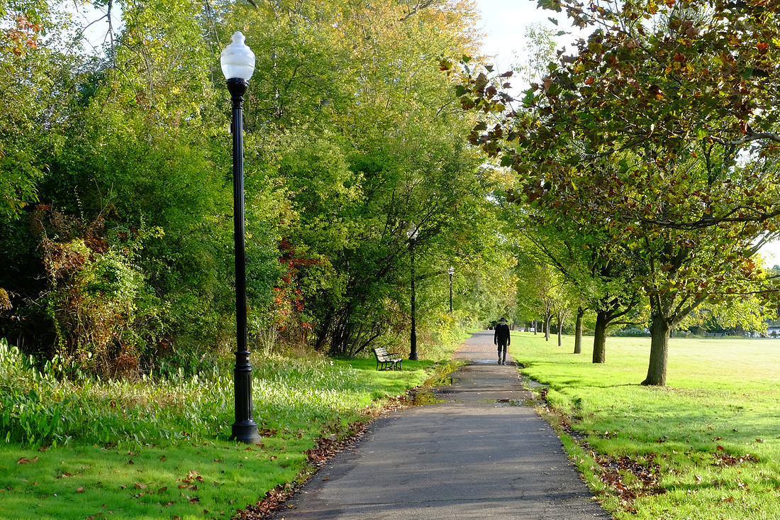 Park Walker