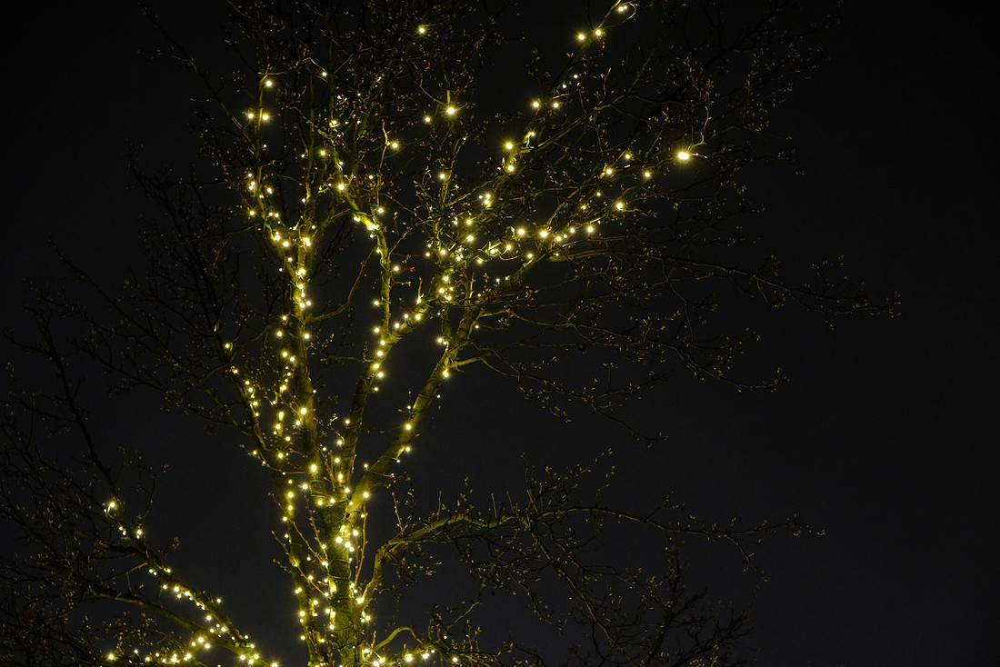 Tree Glow