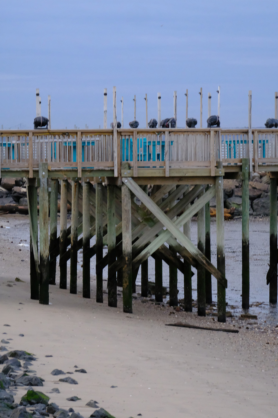 Low Tide