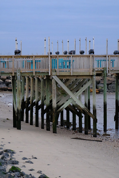 Low Tide