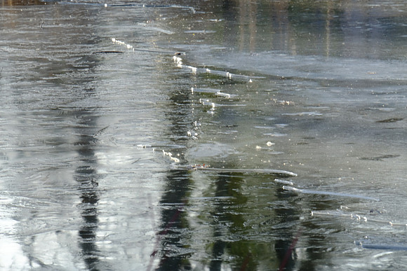 Icy Edge