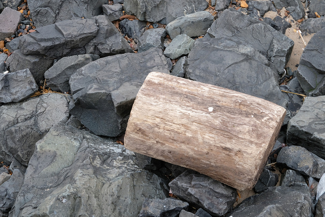 Log on the Rocks
