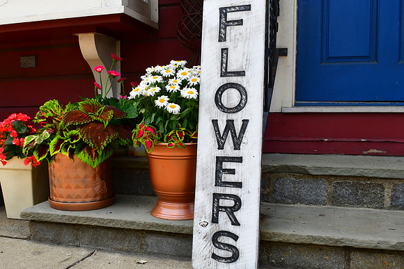 Flowers
