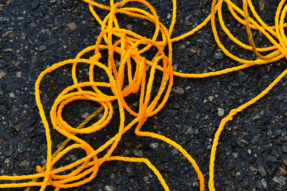 Yellow Tangle 2