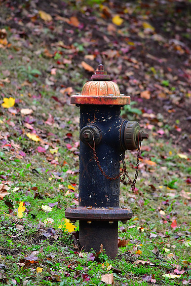 Fall Hydrant