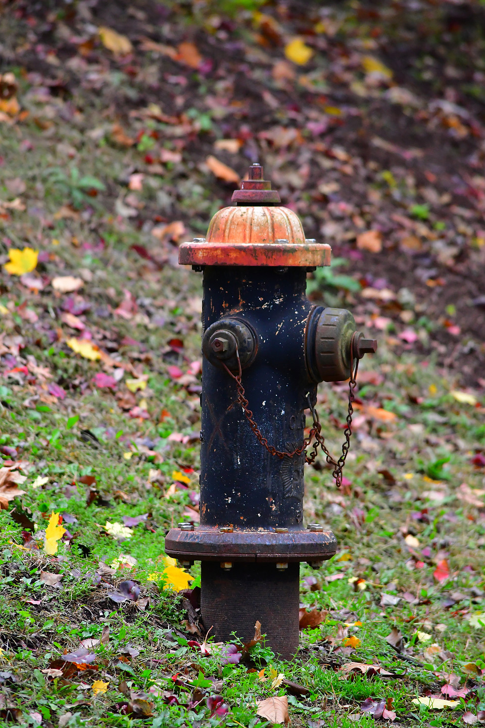Fall Hydrant