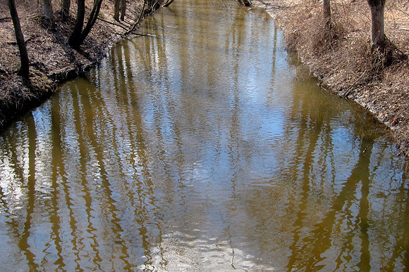 Muddy Reflections