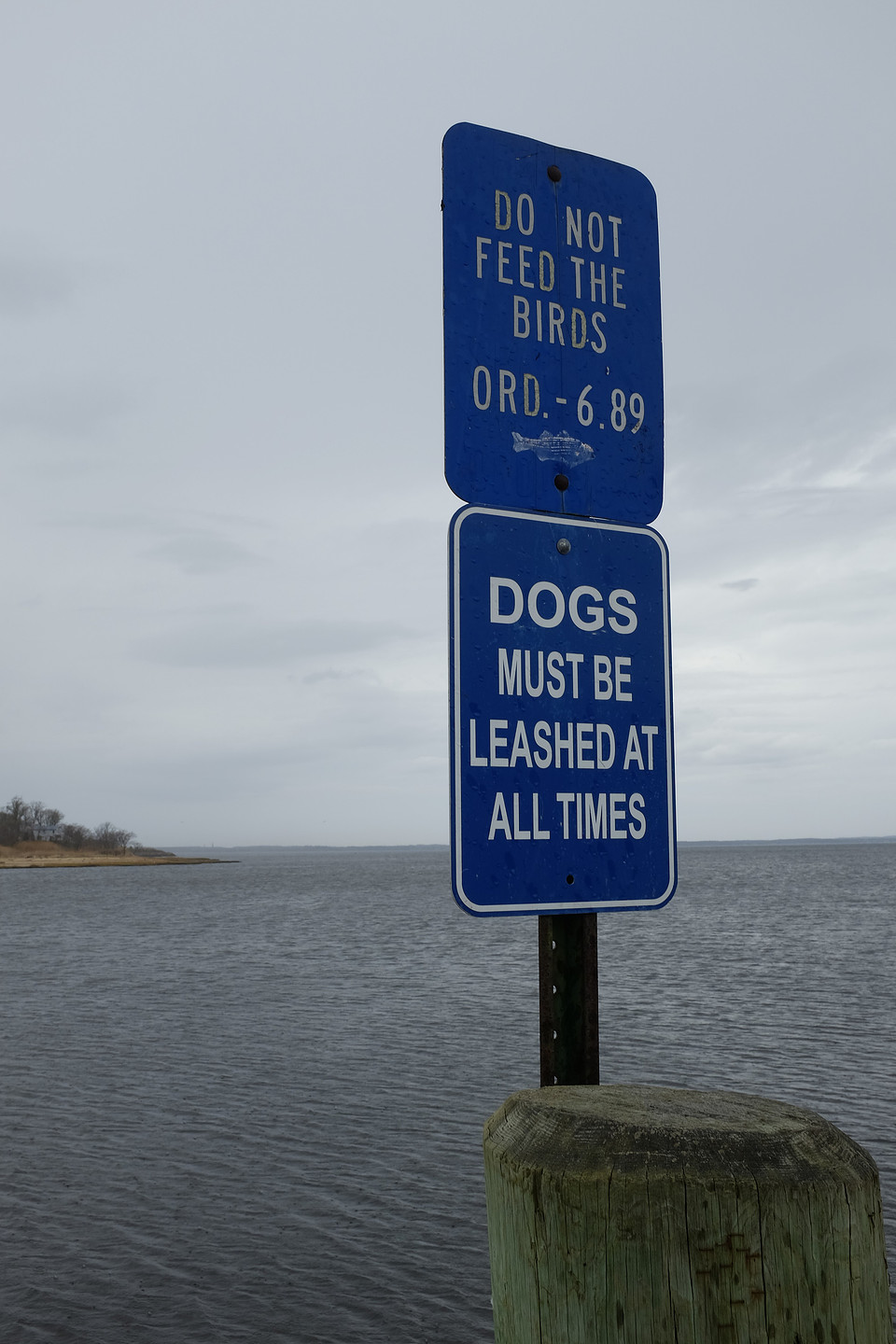 Blue Signs