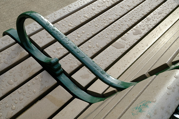 Wet Seat