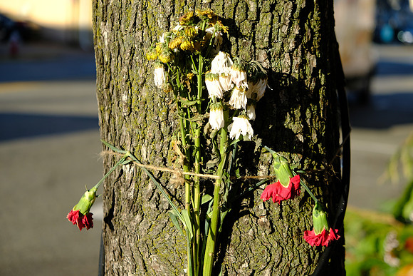 Withered