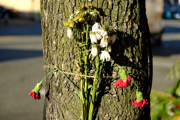 Withered