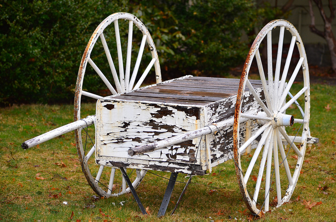 Paint Your Wagon