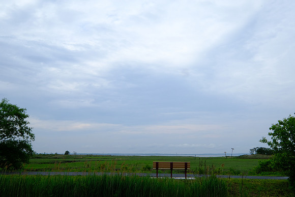 Solitary