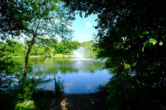Hidden Rainbow