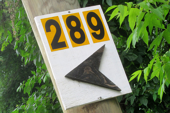 289