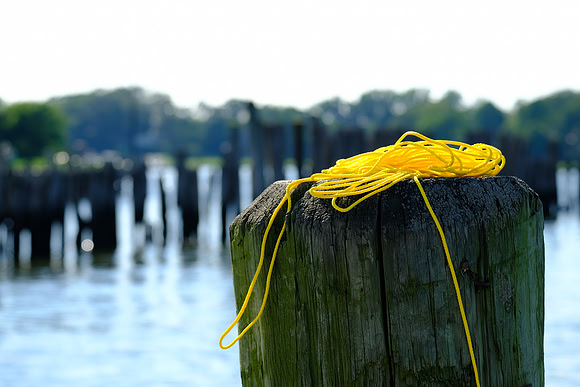 Yellow Coil