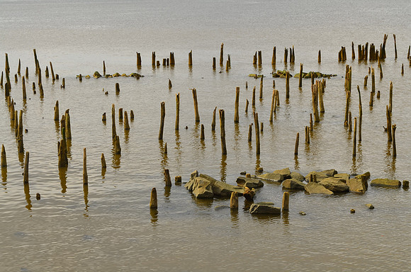 Sticks and Stones