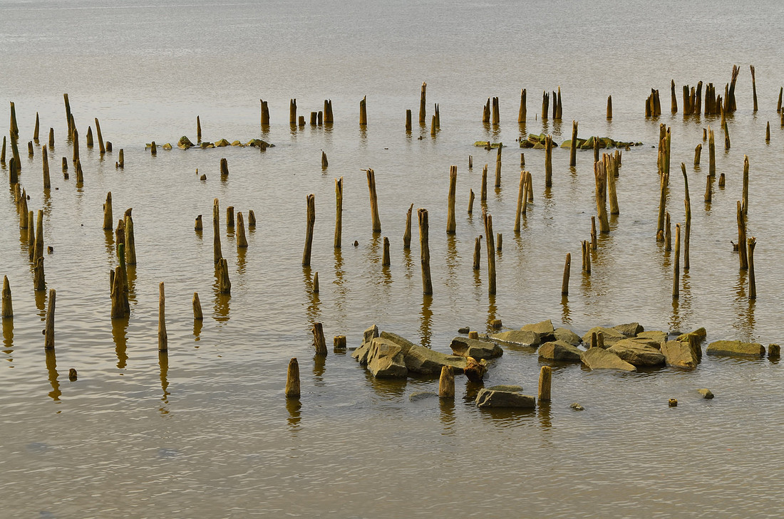 Sticks and Stones