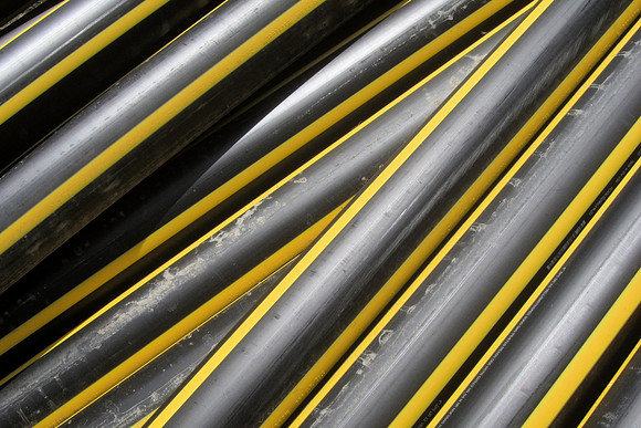 Yellow Stripes