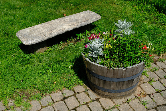Another Summer Bench
