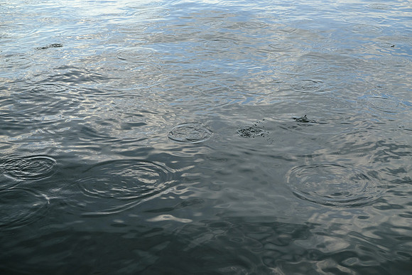 Splash Rings