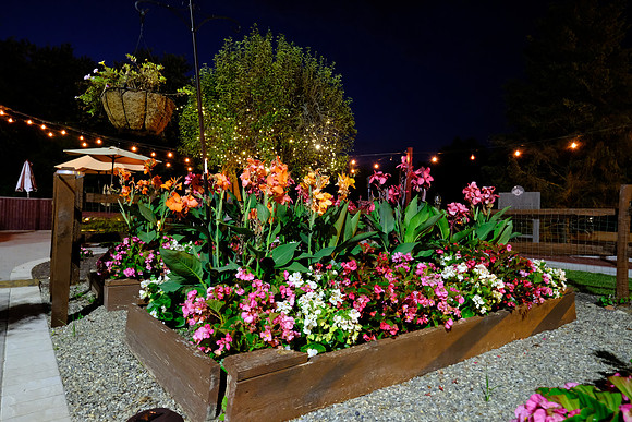Summer Garden