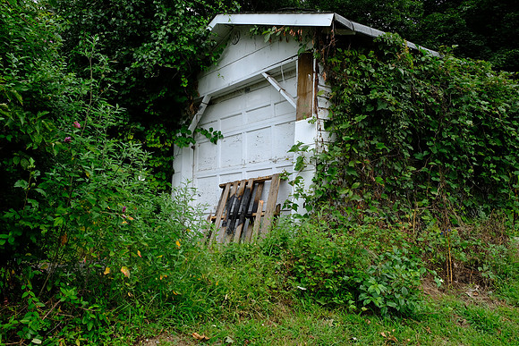 Green Garage