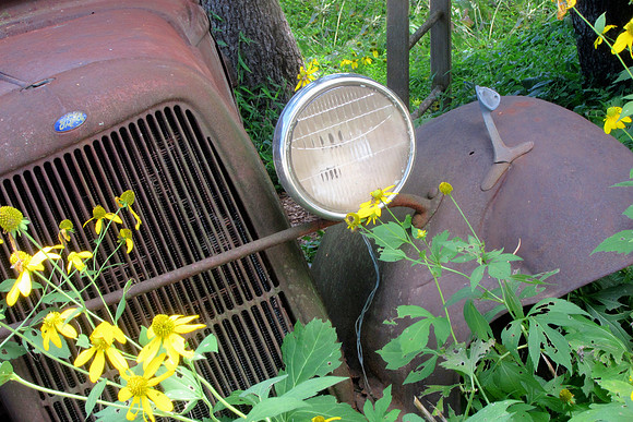 More Ford Flowers