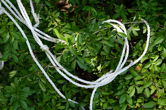 White Rope