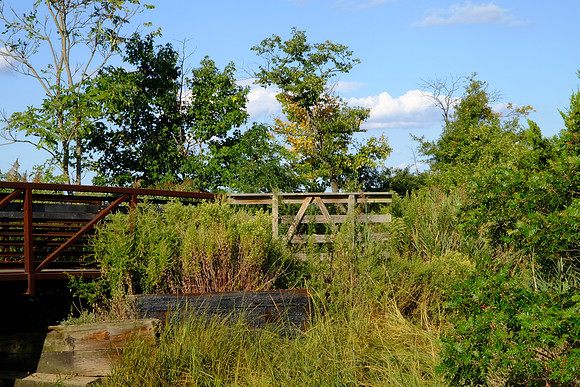 Hidden Bridge