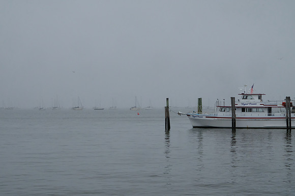 Foggy Fleet