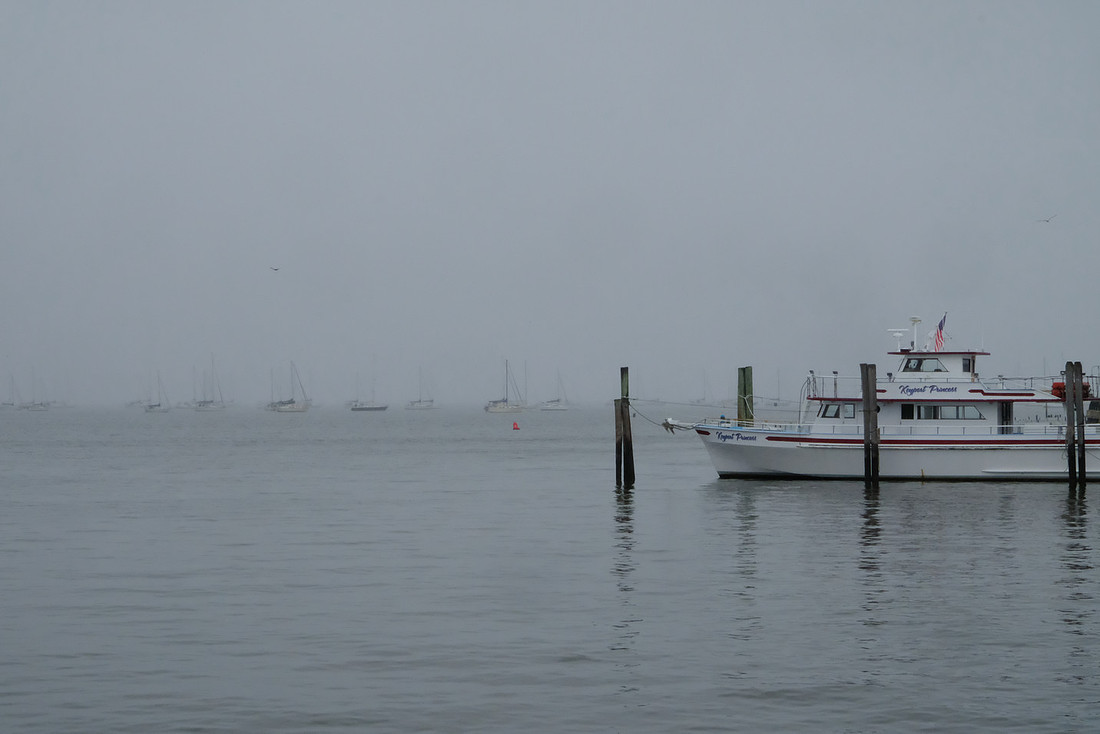 Foggy Fleet