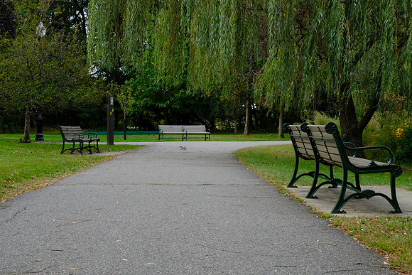 Three Benches