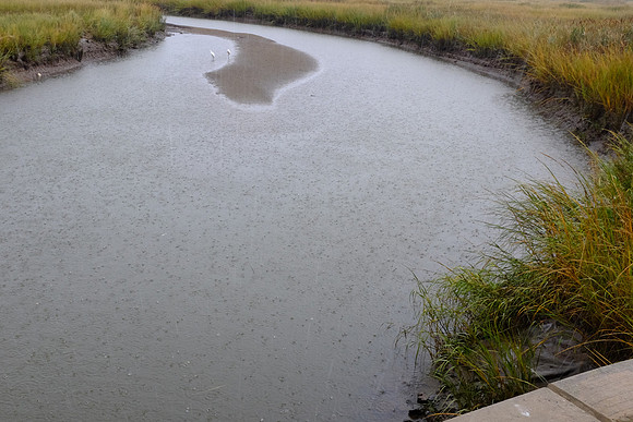 Rainy Creek
